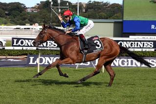 Karaka graduate Bonneval (NZ) was the first filly since 1990 to win the Group One New Zealand Oaks-Australian Oaks double.